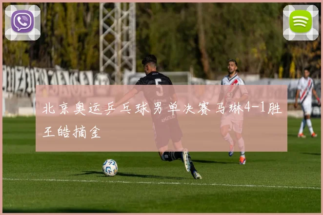 北京奥运乒乓球男单决赛马琳4-1胜王皓摘金